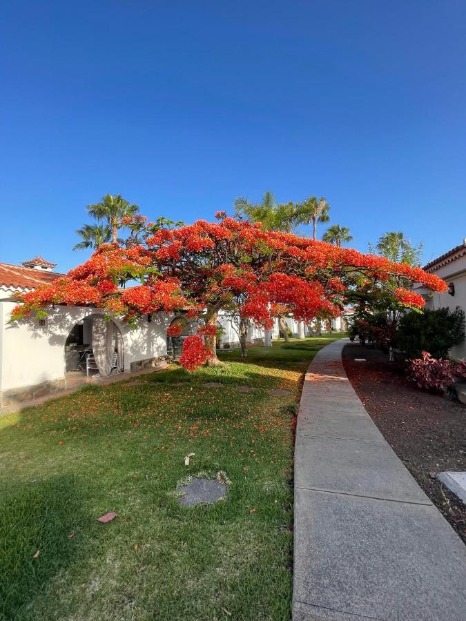Apartament Parque Golf Fresh Maspalomas  Zewnętrze zdjęcie